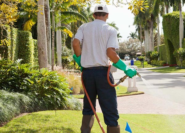 About Tower MN Pest Control